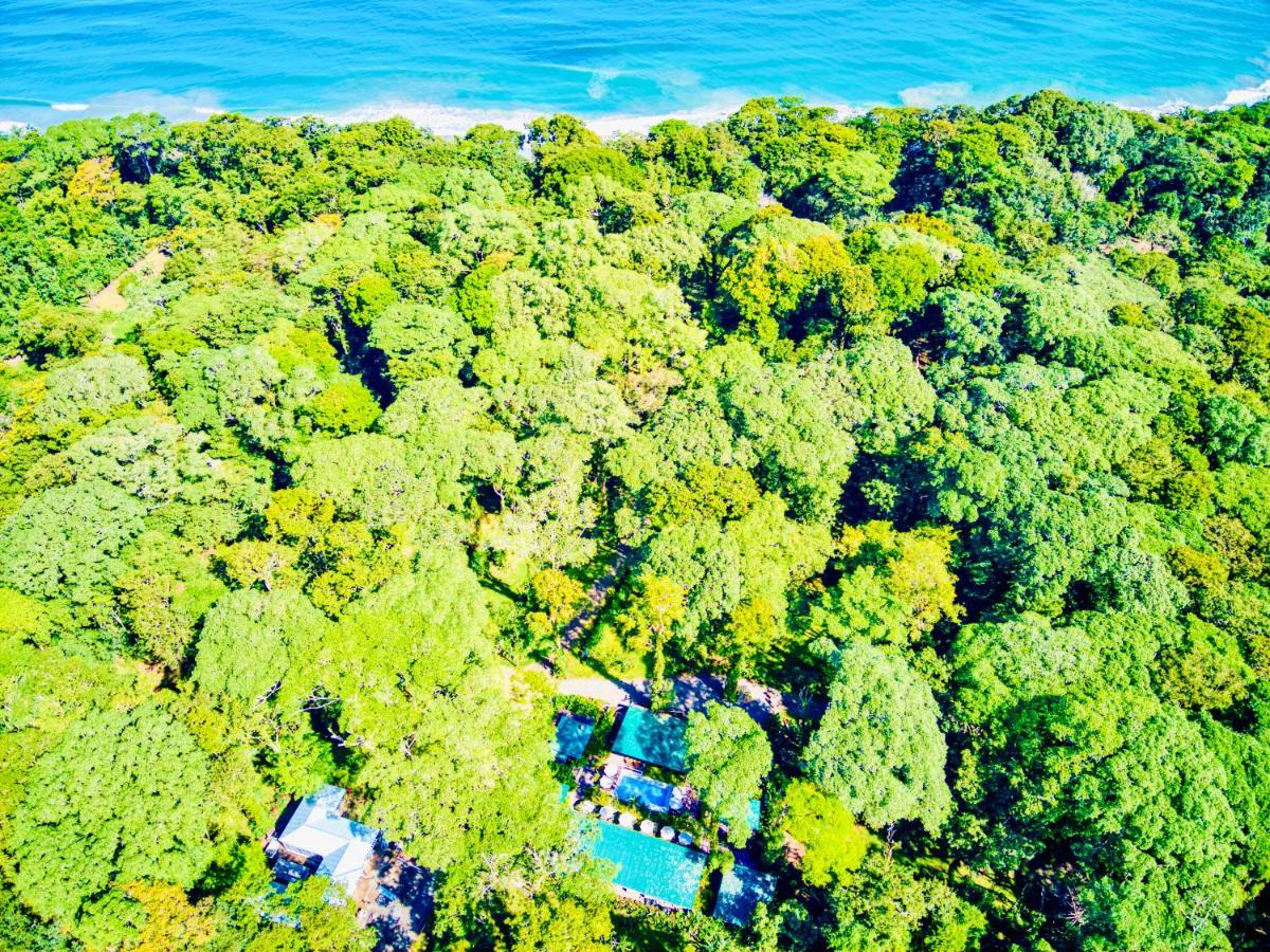 Exotico Beach Hotel Puerto Viejo de Talamanca 外观 照片