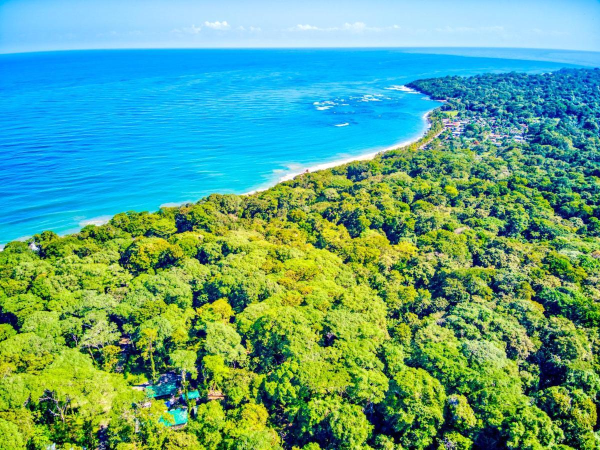 Exotico Beach Hotel Puerto Viejo de Talamanca 外观 照片